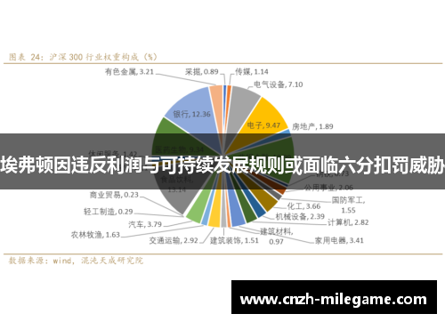 埃弗顿因违反利润与可持续发展规则或面临六分扣罚威胁